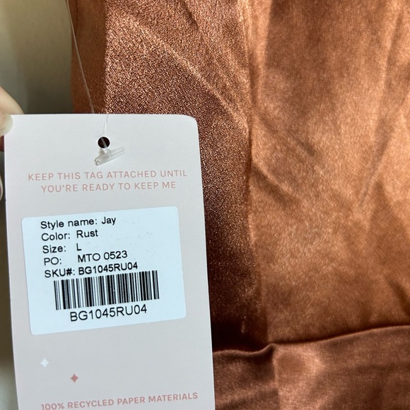 NWT Birdy Grey Shiny Satin Rust Dress - Picture 5 of 5